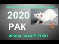 ♋РАК. Гороскоп Рак на 2020 год. 12 домов гороскопа. ТАРО-ПРОГНОЗ.