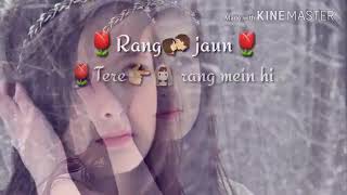 bas itni si tamanna hai tere rang mai hi rang jau