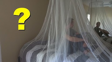 What is the best mosquito net? Don