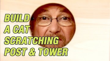 How to Build a Cat Tree Complete with Scratching Post and Tower