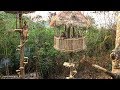 Unbelievable!! Build Beautiful Rounded Spiral Stairs for Tree House