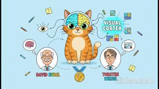 Nobel Prize Winning Vision Experiment - Hubel & Wiesel (Animated Explanation)