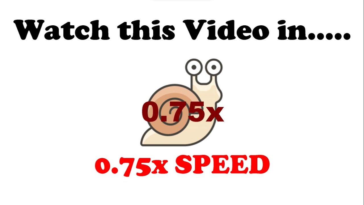 Watch this video in 0.75x Speed