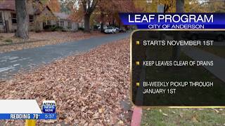 Anderson launches leaf collection to keep storm drains clear