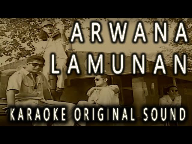 ARWANA - LAMUNAN - KARAOKE ORIGINAL SOUND class=