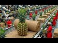 This Factory Turns Pineapple Leaves Into Vegan Leather | (Mind-Blowing Process)