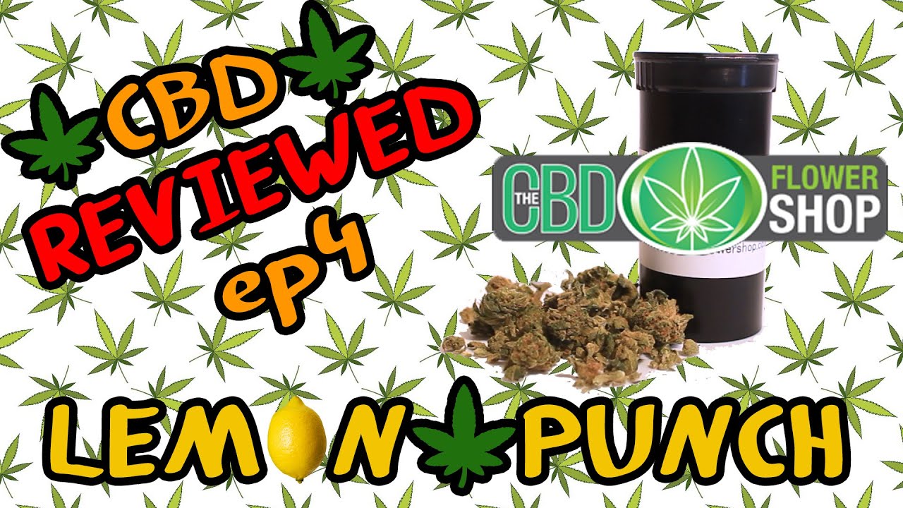 Honest Hemp Reviews EP 4 - LEMON PUNCH// CBD FLOWER SHOP
