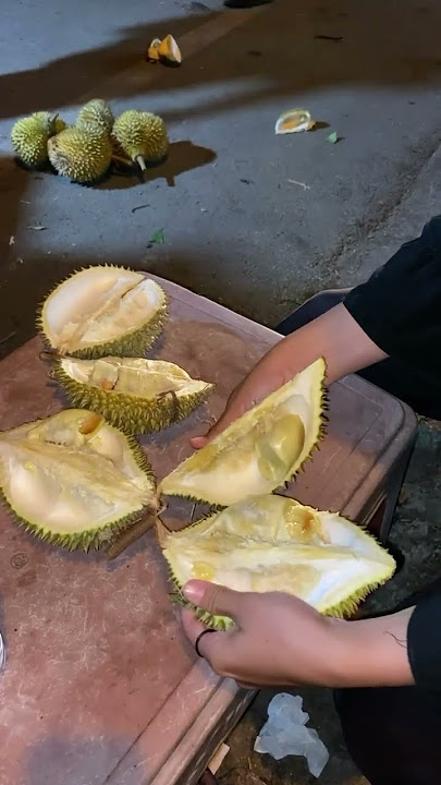 Makan duren di malam hari🤤