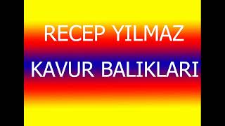 Recep Yılmaz Kavur Balıkları 2005 Resimi