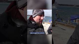 Robert Marc Lehmann zum gestrandeten Buckelwal 🐋 - großer Rettungsversuch in der Lübecker Bucht