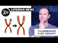 Towards a Telomerase Gene Therapy for Pulmonary Fibrosis | Lifespan News