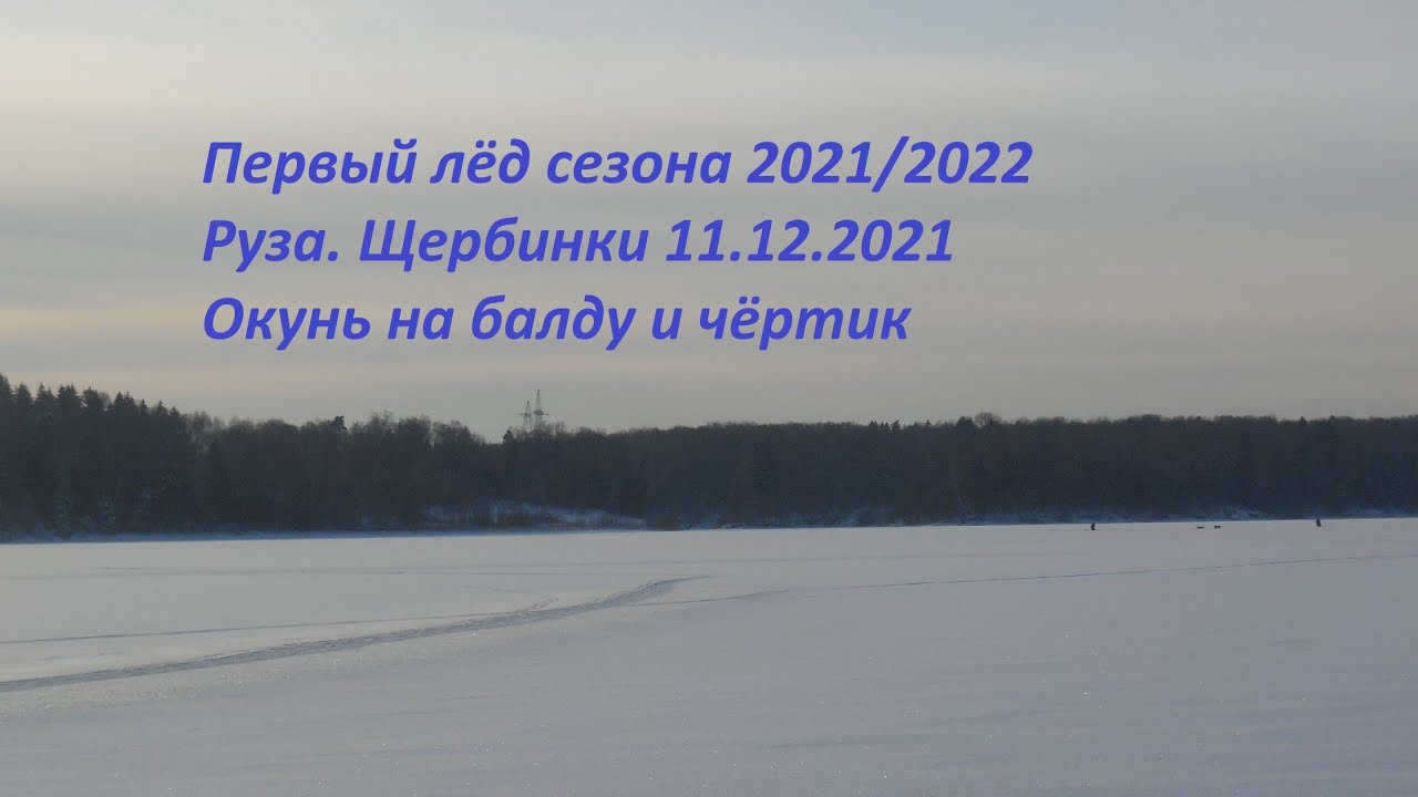 темезд руза такими 2022. щербинки рузский район вэйк. руза водохранилище. руза щербинка. рыбалка в щербинке.
