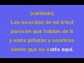 Navidad sin ti - Marco Antonio Solís (Karaoke)