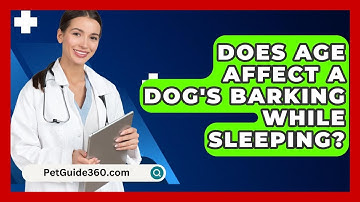 Does Age Affect A Dog