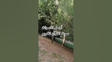 قران كريم بصوت جميل للشيخ سعود الشريم سورة المائدة #اكسبلور #المصحف #راحة_نفسية #الرحمن قران كريم ♥️