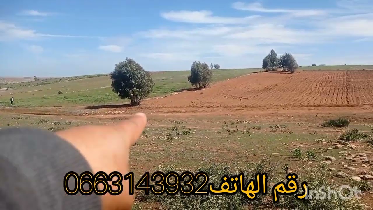 ارض للبيع نواحي الجديده بن معاش مساحتها 3000 مترو تيتر ثمن 7 مليون 🌿🌿🌿🤝0663143932 😱
