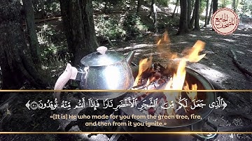 صوت ندي يتلو.. الذي جعل لكم من الشجر الأخضر نارا فإذا أنتم منه توقدون.. سورة يس - الآية 80 - 81