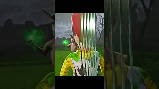 Donkey Fatality on Woody