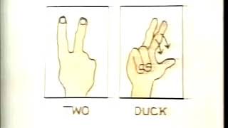 Sign Language Overgeneralization Errors