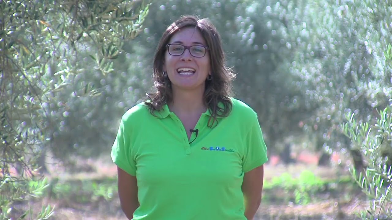 Programación de riego en olivar con variación del diámetro del tronco