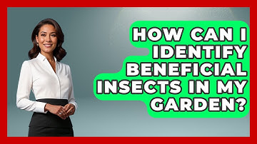 How Can I Identify Beneficial Insects in My Garden? | Insects and Invaders