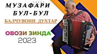 Музафари бул-бул Духтари Балчувони овози зинда 2023