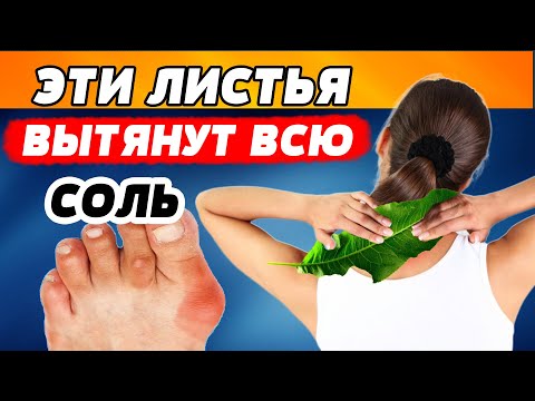 СДЕЛАЙТЕ!!! Не пожалеете! СЕЙЧАС САМОЕ ВРЕМЯ. Эти Листья Удивительно ВЫТЯГИВАЮТ соль из организма