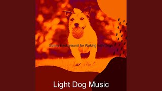 Superlative Backdrops for Calming Your Dog