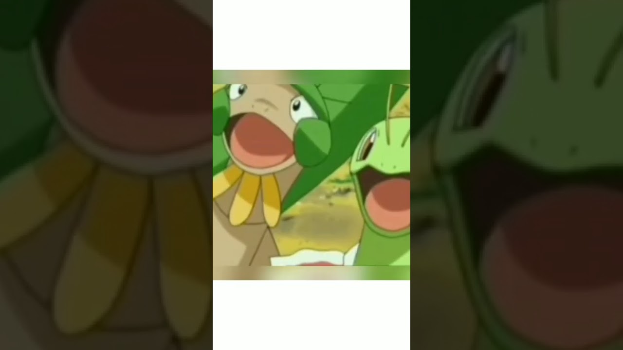 Evolution of treecko