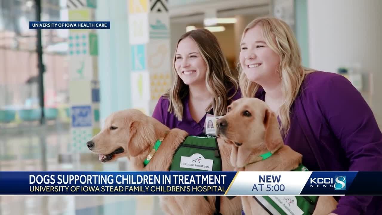 Iowa hospital adds two dogs to its care team