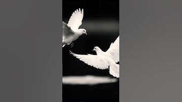 بسم الله الرحمن الرحيم يا أيها الناس تلاوة عطرة بصوت خاشع يروي الروح بذكر خالقها جمعة مباركة أكثروا🕊
