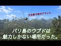 【vlog】バリ島ウブド1日観光〜バリ島3泊4日旅後編〜