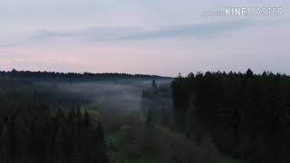 Blackforest 2k19 Dji Mavic 2 Zoom
