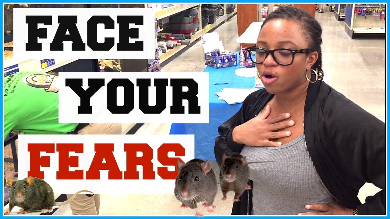 FACE YOUR FEARS GIVEAWAY CARLI BYBEL 2017 -- PART 2