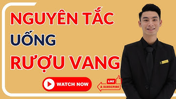 NGUYÊN TẮC uống RƯỢU VANG đúng CHUẨN | Avino Wines