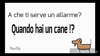 Pubblicità cani