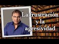 Gabriel Rolón - La frustración y la agresividad