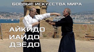 АЙКИДО, ИАЙДО, ДЗЁДО - ОБЩИЕ ПРИНЦИПЫ ЯПОНСКОГО БУДО. БОЕВЫЕ ИСКУССТВА МИРА. ✅ ЛЕРИНСКИЕ ОСТРОВА
