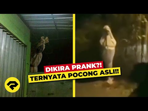 Video: Realitas Tidak-Sangat-Lucu Tentang Nafas Mengerikan Anjing Anda