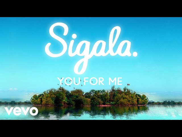 Sigala, Rita Ora - You for Me (Lyric Video) class=