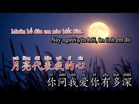 ÁNH TRĂNG NÓI HỘ LÒNG TÔI - 月亮代表我的心