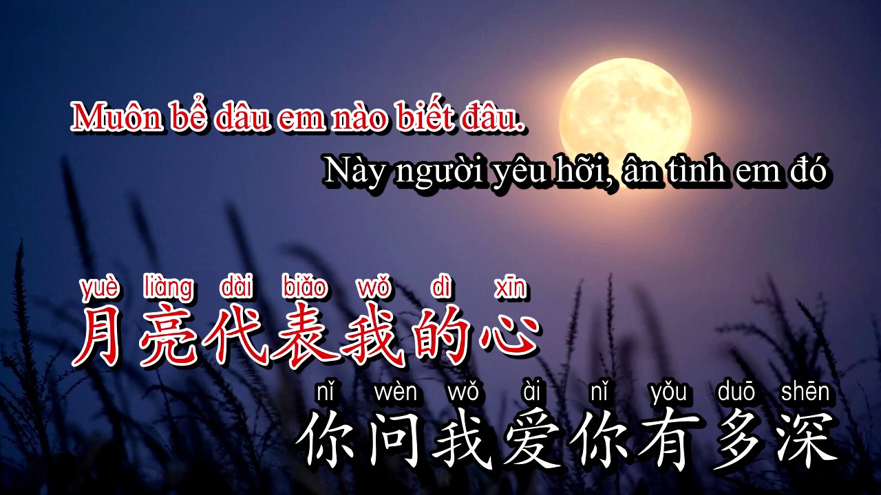 Karaoke Ánh Trăng Nói Hộ Lòng Tôi | 月亮代表我的心 - Đặng Lệ Quân 邓丽君