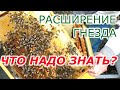 Расширение пчелиного гнезда. 22 апреля. Что надо знать?