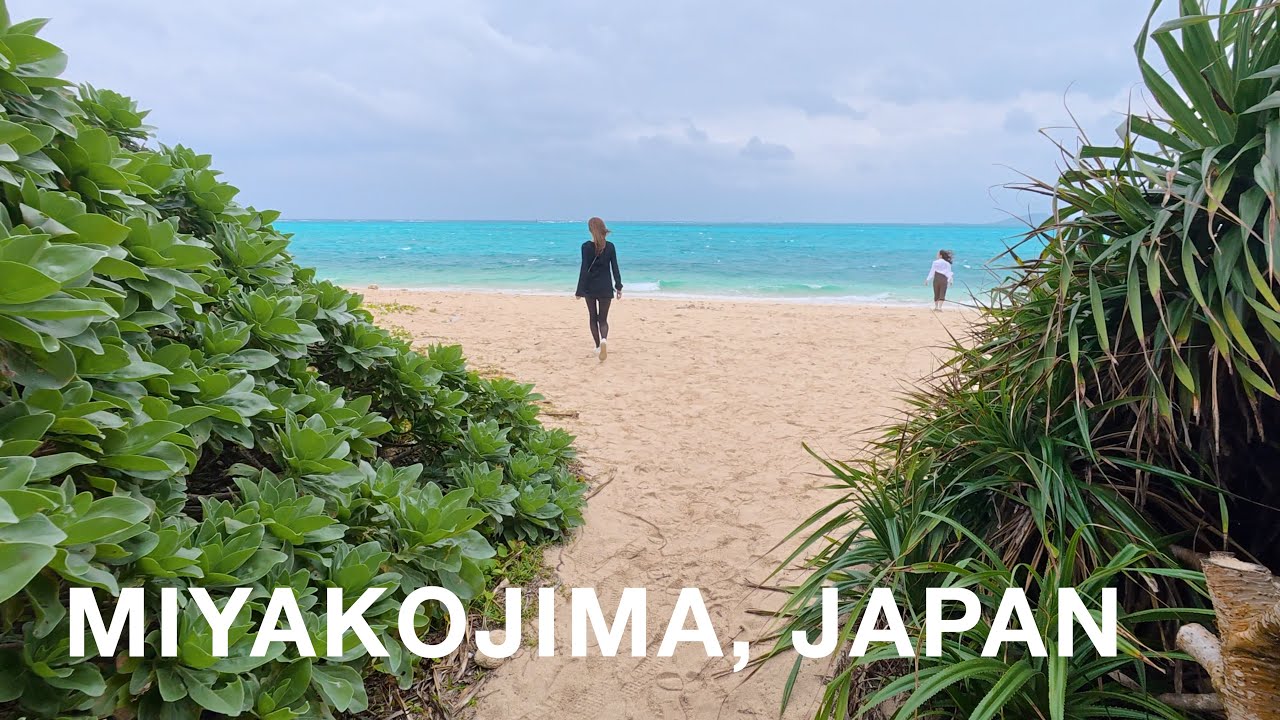 Miyakojima in Winter 🇯🇵 【宮古島Vlog】| Our Days in Japan