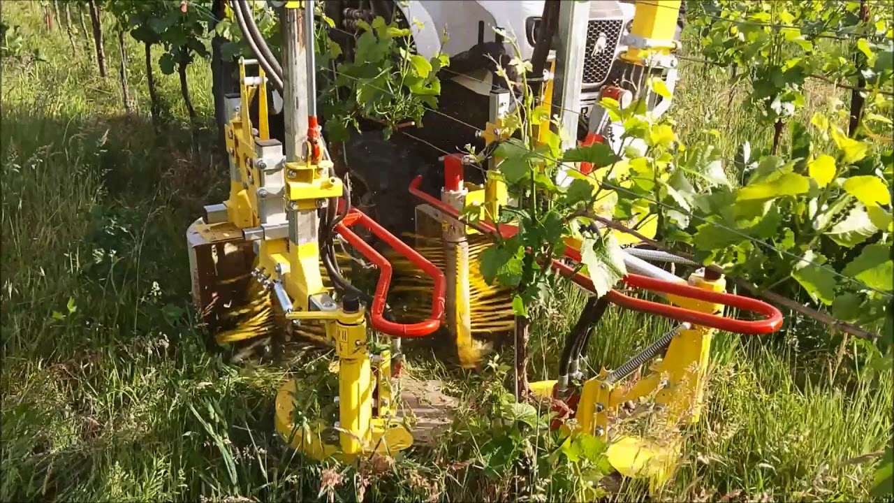 KMS Rinklin RinClean - Unterstockpflege Weinbau