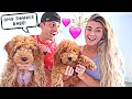 SURPRISING HIM WITH ANOTHER PUPPY! *CUTE REACTION*