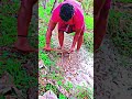 #village #nature #villagelife