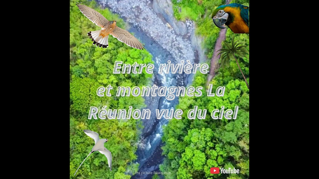 Entre rivière et montagnes - La Réunion vue du ciel