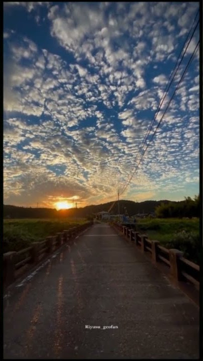 mentahan video senja #senja #mentahan #polosanquotes #quotes #shorts #polosan