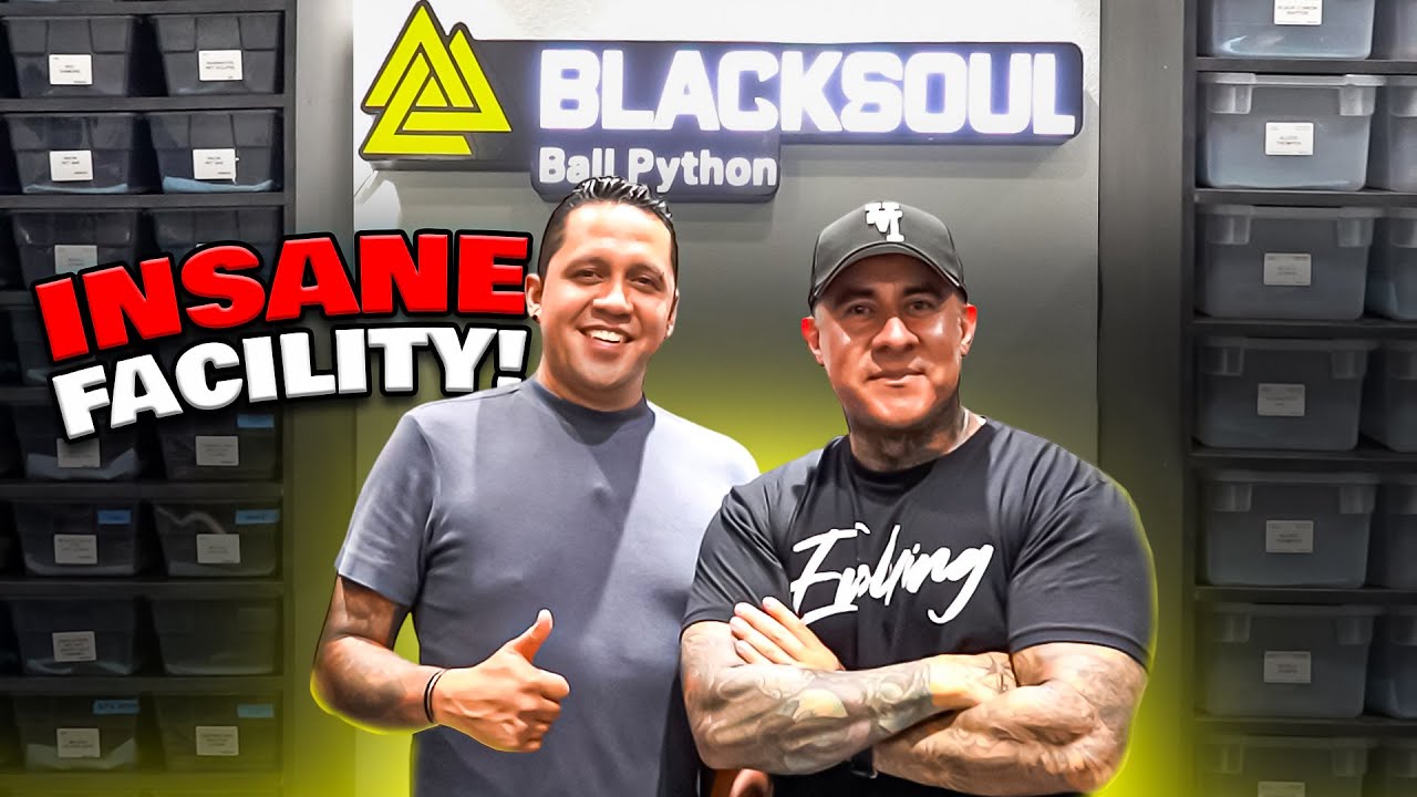 This Reptile Collection In México Is amazing! - YouTube